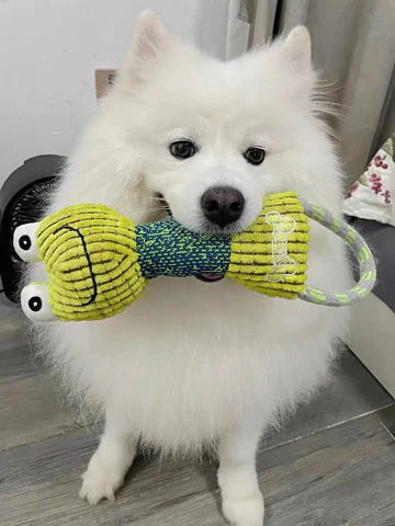 Chew crew Animal Toys For Dog